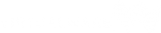 VirtualWare